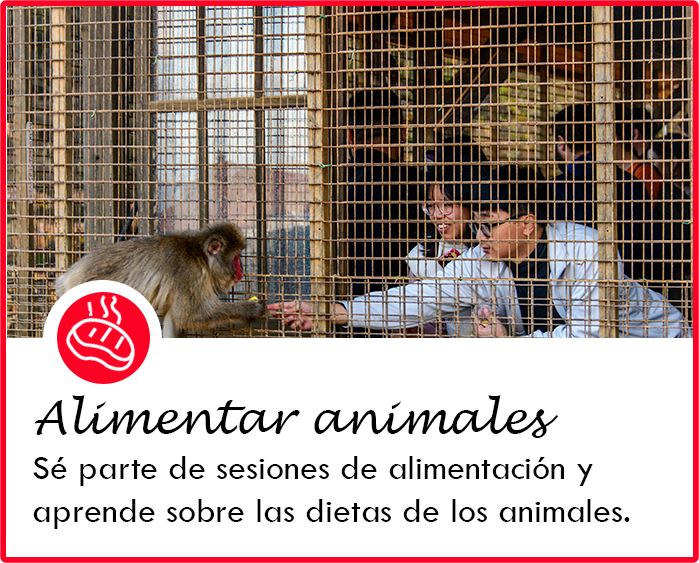 Alimentar animales1