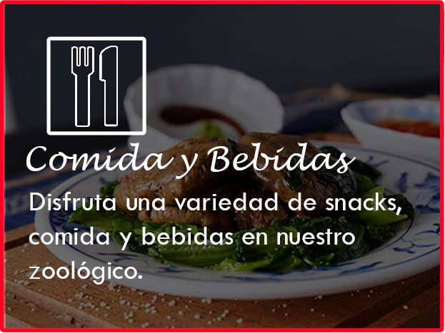 Comida y Bebidas