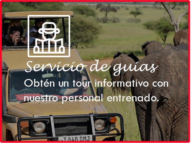 Servicio de guias