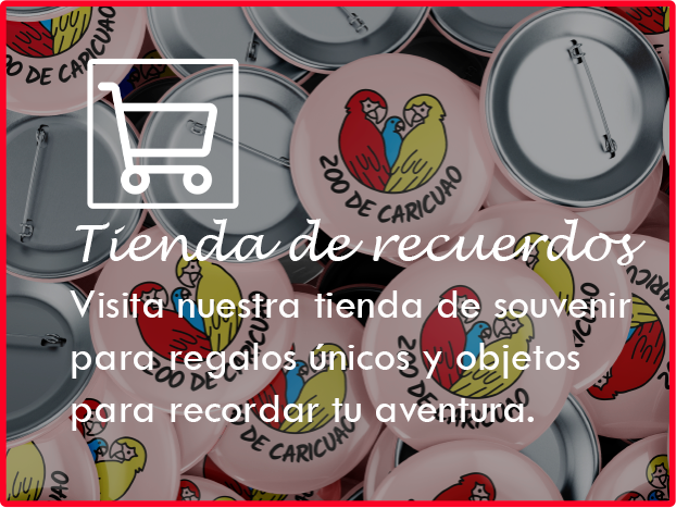 Tienda de recuerdos