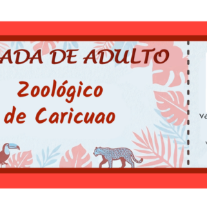 Entrada Ticket Adulto